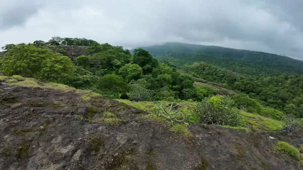 stock image Rocky Terrain Landscape with Green Patches at Kanheri Caves, Mumbai, India