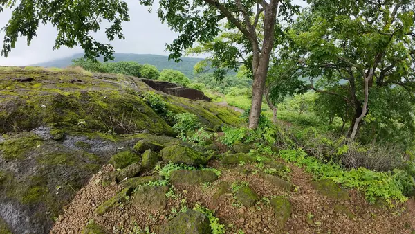 stock image Rocky Terrain Landscape with Green Patches at Kanheri Caves, Mumbai, India