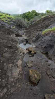 Kanheri Mağaraları 'ndaki Kayalık Arazi' de Küçük Akıntı, Maharashtra