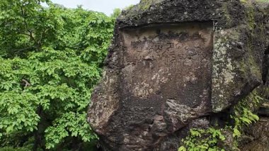 Kanheri Mağaraları 'nda Antik Yazıt, Mumbai, Hindistan