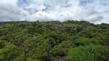 Rocky Arazisi Yeşil Yamalı Kanheri Mağaraları, Mumbai, Hindistan