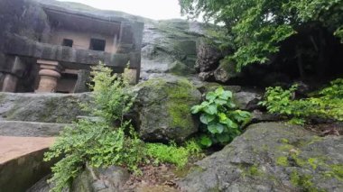 Mumbai 'deki Kanheri Mağaralarının Tarihi Adımlarını Keşfediyorum.