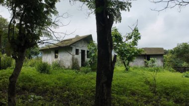 Abandoned houses overgrown with green vegetation and weeds, showcasing a deserted and empty environment. clipart