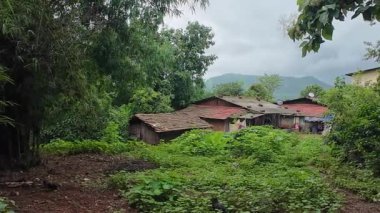 Maharashtra köyünün manzarası.