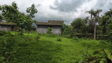 Maharashtra köyünün manzarası.