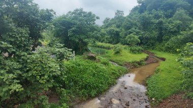 Bulutlu bir gökyüzünün altında yemyeşil bir arazi.