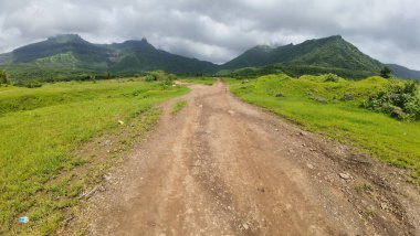 Manzaralı toprak yol yemyeşil bir yolda esiyor.