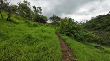 Dar, çamurlu bir patikada, yemyeşil bir ormanda, muson mevsiminin zengin yapraklarını sergiliyor.