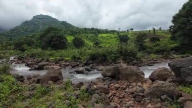 Ormandaki kayaların üzerinden akan sakin bir akarsu manzarası, doğanın rahatlatıcı seslerini ve canlı yaprakları sergiliyor.