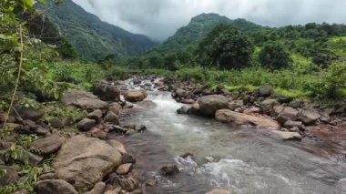 Ormandaki kayaların üzerinden akan sakin bir akarsu manzarası, doğanın rahatlatıcı seslerini ve canlı yaprakları sergiliyor.