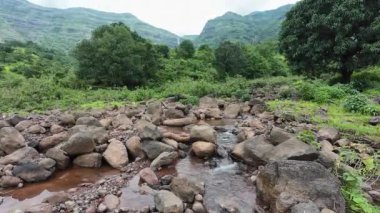 Ormandaki kayaların üzerinden akan sakin bir akarsu manzarası, doğanın rahatlatıcı seslerini ve canlı yaprakları sergiliyor.