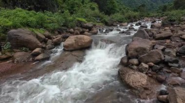 Ormandaki kayaların üzerinden akan sakin bir akarsu manzarası, doğanın rahatlatıcı seslerini ve canlı yaprakları sergiliyor.