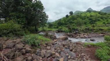 Ormandaki kayaların üzerinden akan sakin bir akarsu manzarası, doğanın rahatlatıcı seslerini ve canlı yaprakları sergiliyor.