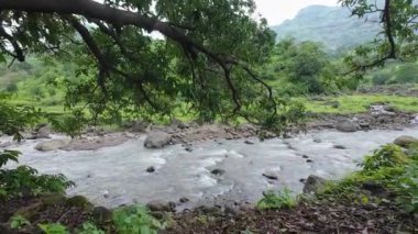 Ormandaki kayaların üzerinden akan sakin bir akarsu manzarası, doğanın rahatlatıcı seslerini ve canlı yaprakları sergiliyor.
