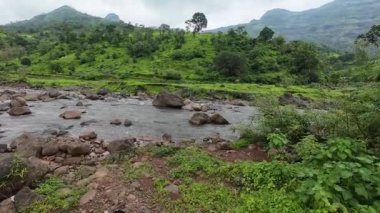 Ormandaki kayaların üzerinden akan sakin bir akarsu manzarası, doğanın rahatlatıcı seslerini ve canlı yaprakları sergiliyor.
