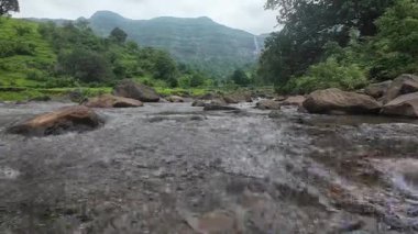 Ormandaki kayaların üzerinden akan sakin bir akarsu manzarası, doğanın rahatlatıcı seslerini ve canlı yaprakları sergiliyor.