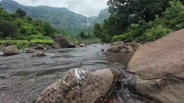 Ormandaki kayaların üzerinden akan sakin bir akarsu manzarası, doğanın rahatlatıcı seslerini ve canlı yaprakları sergiliyor.
