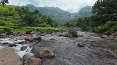 Ormandaki kayaların üzerinden akan sakin bir akarsu manzarası, doğanın rahatlatıcı seslerini ve canlı yaprakları sergiliyor.
