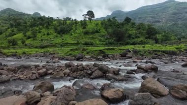 Ormandaki kayaların üzerinden akan sakin bir akarsu manzarası, doğanın rahatlatıcı seslerini ve canlı yaprakları sergiliyor.