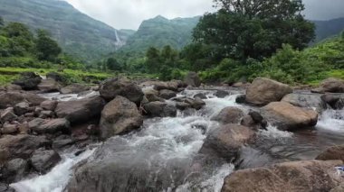 Ormandaki kayaların üzerinden akan sakin bir akarsu manzarası, doğanın rahatlatıcı seslerini ve canlı yaprakları sergiliyor.