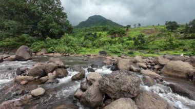 Ormandaki kayaların üzerinden akan sakin bir akarsu manzarası, doğanın rahatlatıcı seslerini ve canlı yaprakları sergiliyor.