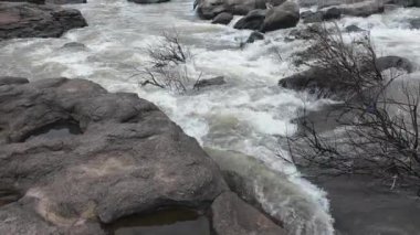 Ormandaki kayaların üzerinden akan sakin bir akarsu manzarası, doğanın rahatlatıcı seslerini ve canlı yaprakları sergiliyor.