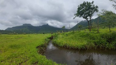 Lush green landscape with a waterbody under a cloudy sky clipart