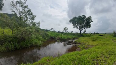 Bulutlu bir gökyüzünün altında yemyeşil bir arazi.