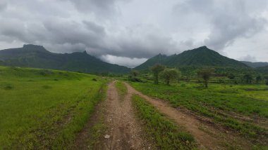Manzaralı toprak yol yemyeşil bir yolda esiyor.