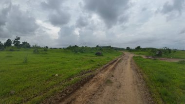 Manzaralı toprak yol yemyeşil bir yolda esiyor.
