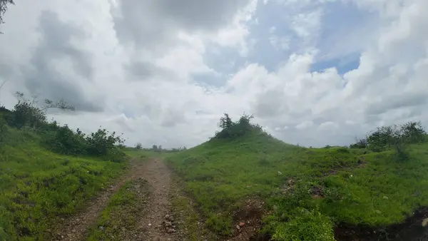 Manzaralı toprak yol yemyeşil bir yolda esiyor.