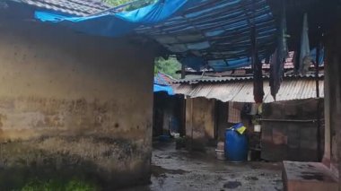 Muson sırasında Maharashtra 'nın sakin kırsal bir köyünde, yemyeşil ve doğa ile çevrili geleneksel kulübeler var..