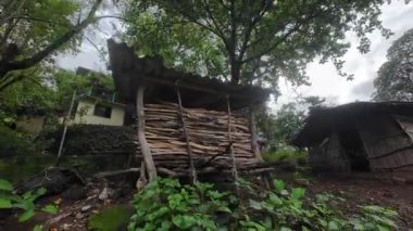 Muson sırasında Maharashtra 'nın sakin kırsal bir köyünde, yemyeşil ve doğa ile çevrili geleneksel kulübeler var..