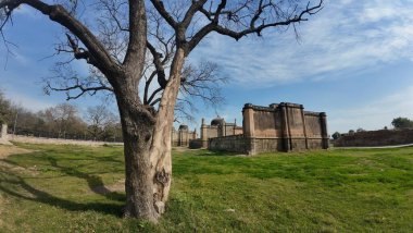 Jhajjar Haryana Hindistan 'daki yerel şefleri onurlandıran Ortaçağ Mezarları ve Tarihi Anıtlar Grubu