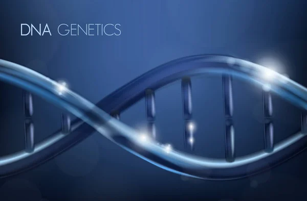 Dna Spiral Molecule Medical Science Genetic Biotechnology Chemical Biology Gene — Stock Vector