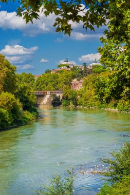 Roma 'da doğa. Ağaçlarla dolu Tiber nehrinin eski tarihi merkezinin manzarası