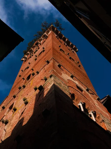 도시의 랜드마크 세기에 그려진 상징적 타워의 아래에서 수있는 특유의 나무들 — 스톡 사진