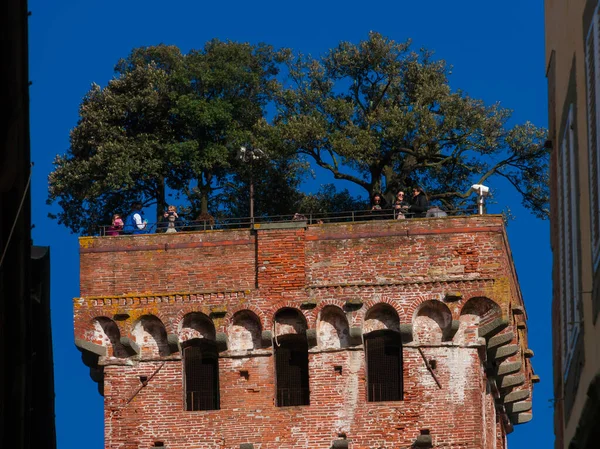 Лукка Италия Марта 2023 Знаменитая Средневековая Башня Guinigi Дубами Туристами — стоковое фото