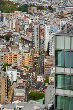 Tokyo, Japonya, 16 Kasım 2023 Tokyo 'daki Bunkyo koğuş binalarının havadan görünüşü