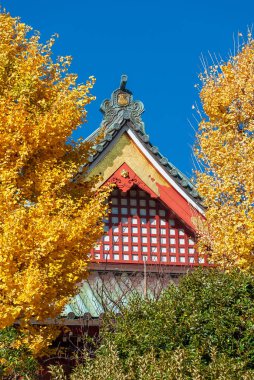 Tokyo, JAPAN, DECEMBER 9, 2023 - Autumn in Tokyo. Matsuchiyama Shoden buddhist temple with ginkgo yellow leaves clipart