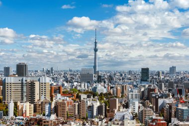 Tokyo, JAPONYA, 10 Ekim 2023 İkonik Skytree kulesiyle Tokyo modern gökyüzü manzarası