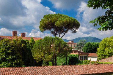 Lucca, ITALY, 28 Mayıs 2024 - Lucca çekici tarihi merkezi antik ortaçağ çan kuleleri ve şehir duvarları parkından Pisano Dağı