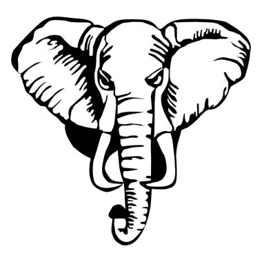 Fil Kafa, Afrika 'nın en büyük 5 hayvanından birini resmediyor.