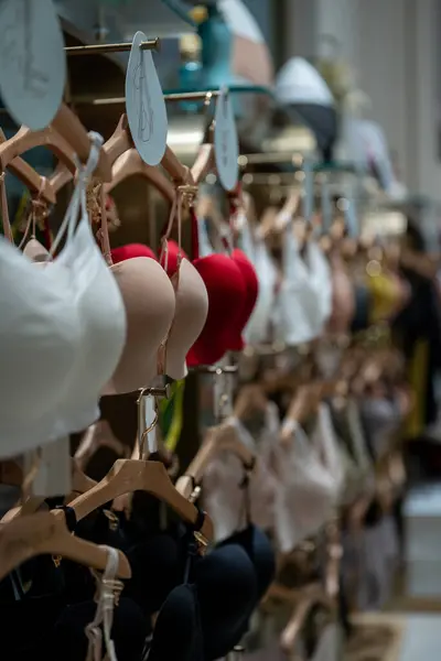 Kadın giysileri mağaza vitrininde