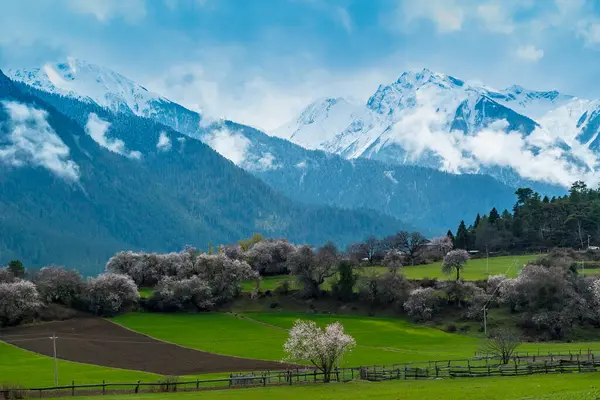 açık hava manzarasının resimsel görüntüsü