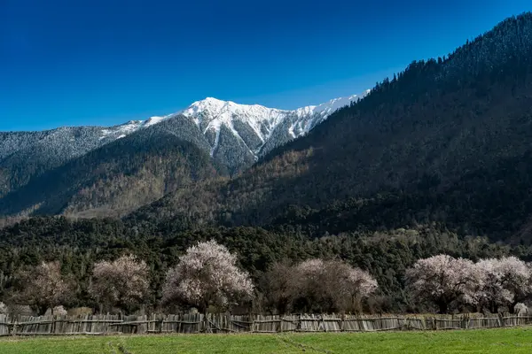 Dağ sırası olan güzel bir manzara.