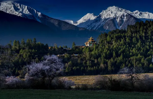 Dağların güzel manzarası