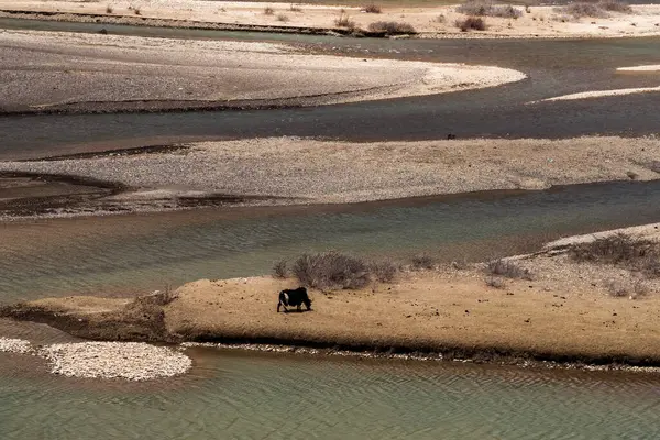 Dağlarda nehri olan güzel bir manzara.