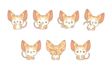 Vektör Karikatür Habeş Kedi Sanatı Koleksiyonu. Giysiler, Çıkartmalar, Bebek Duşu, Renkli Sayfalar İçin İzole Bebek Evcil Hayvan İllüstrasyonları. 