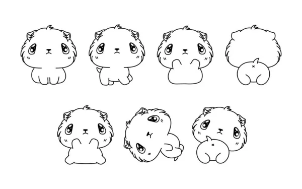 Kolekce Vektorové Karikatury Guinea Pig Coloring Page Sada Izolovaných Obrysů Vektorová Grafika